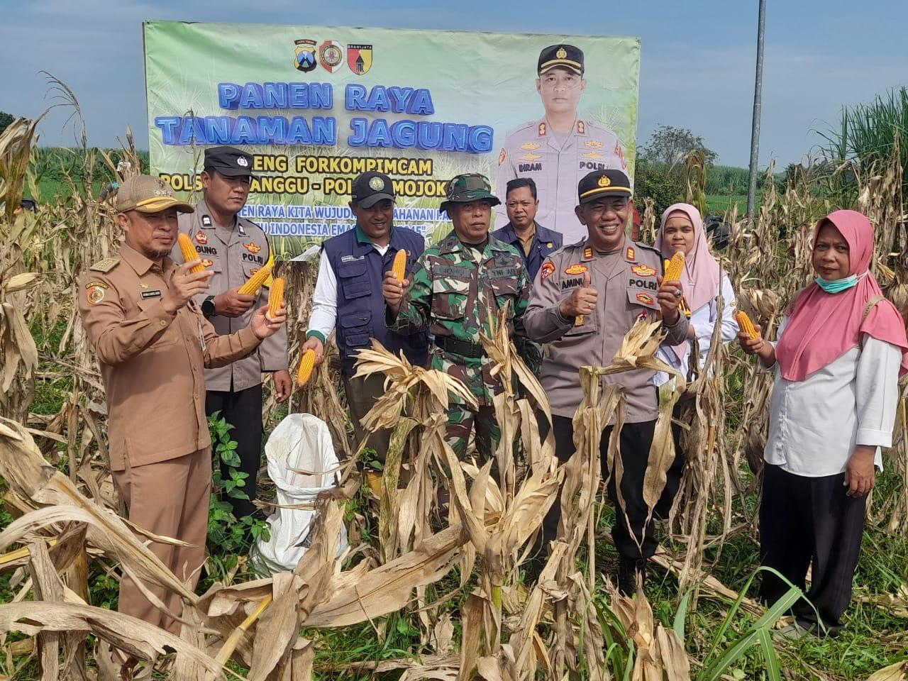 Panen Raya Bersama Gapoktan, Bukti Nyata Sinergi untuk Ketahanan Pangan