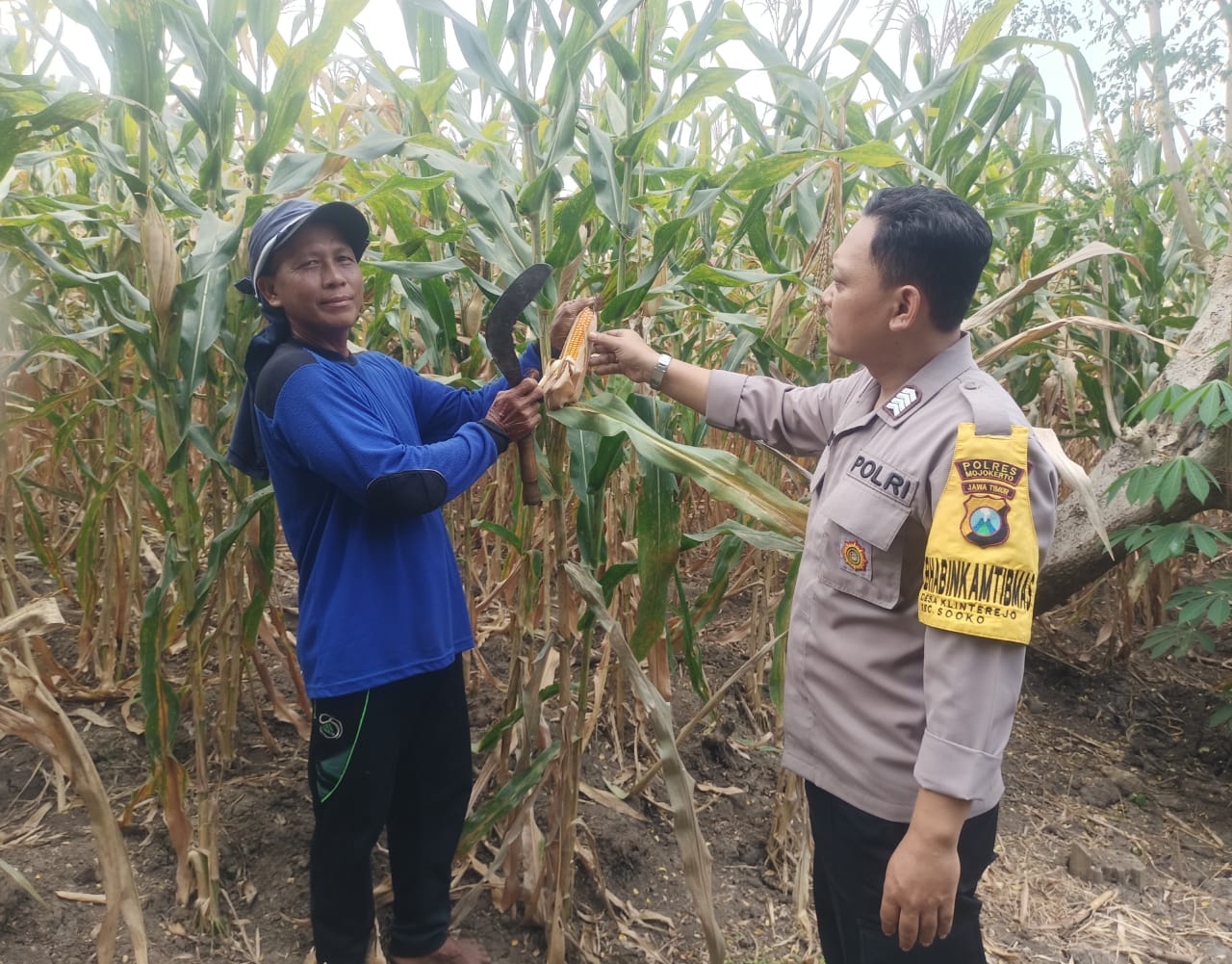 Polsek Sooko Laksanakan Giat Binmas Pioner, Dukung Asta Cita Presiden RI di Bidang Ketahanan Pangan